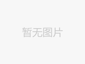 防墜安全器的使用要求和檢測防護指南